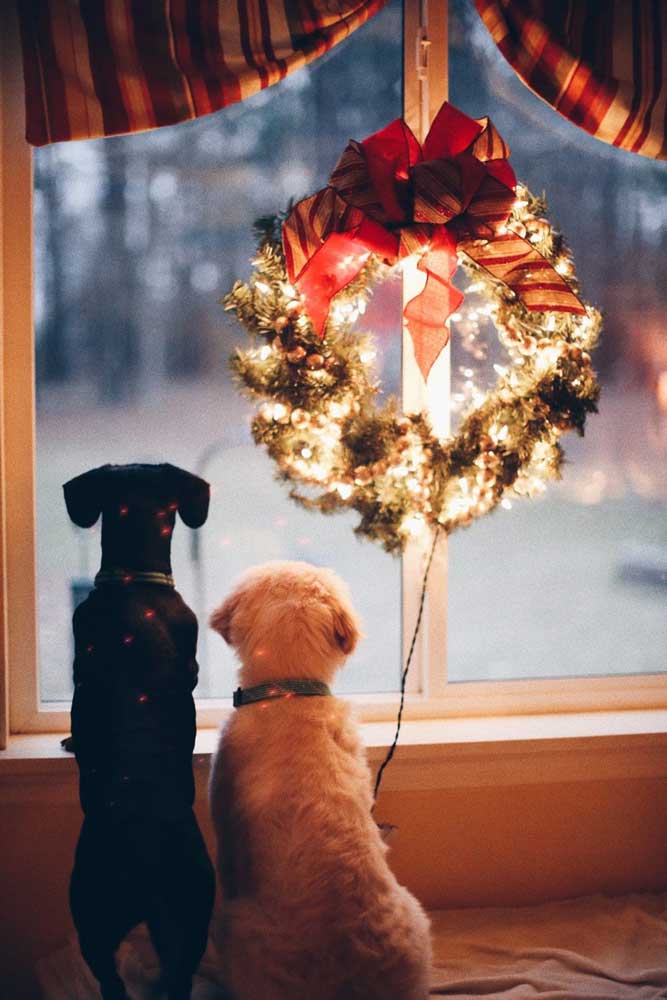 Create a Vision Of What a Debt-Free Christmas Could Bring You - Dreaming of a Debt-Free Christmas? This One’s For You | The Women's Accountant
