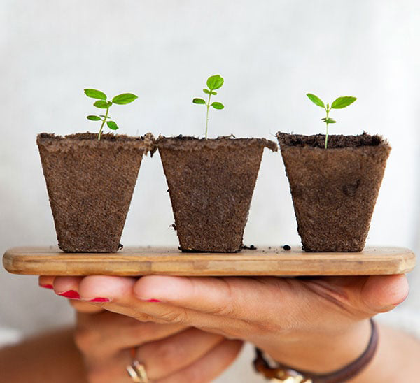 Bloom & Boom: Business Growth Strategy Session | The Women's Accountant